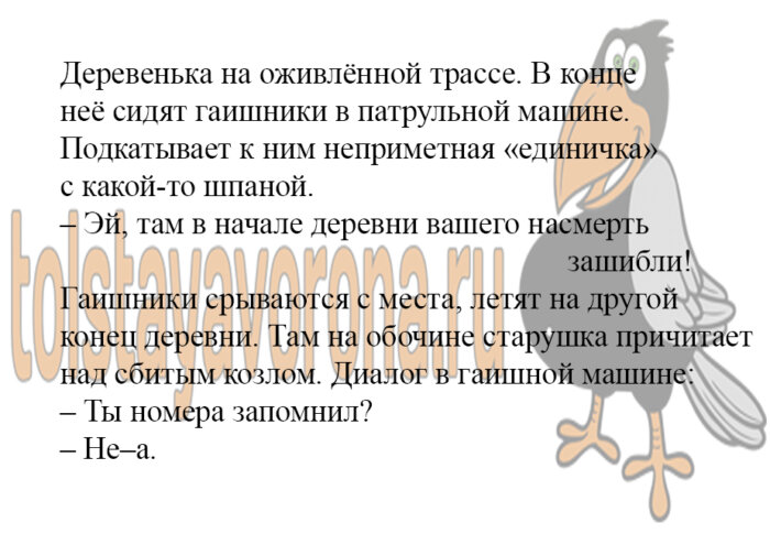 Анекдоты