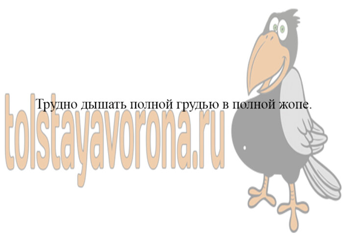 Анекдоты