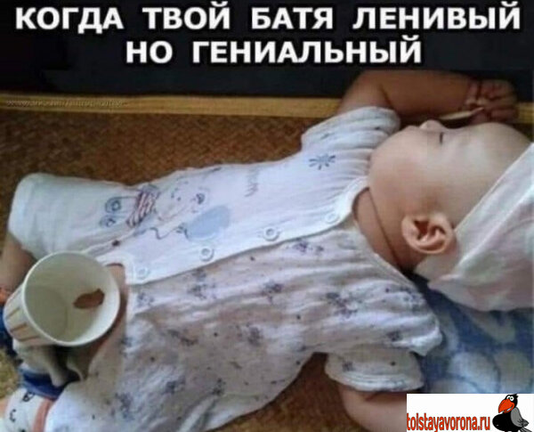 Фото приколы