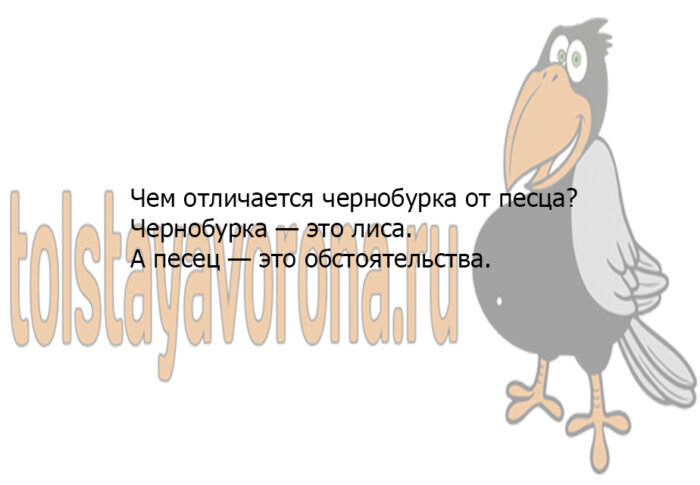 Анекдоты