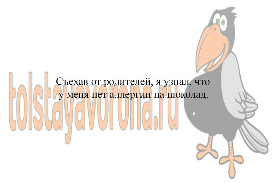 Anekdoty